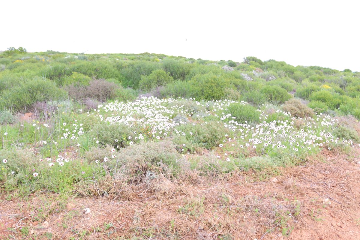 Vacant land for Sale in Steenberg Cove, St Helena Bay - Photo 3