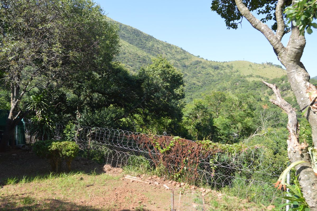 Private Mountain View - Photo 4
