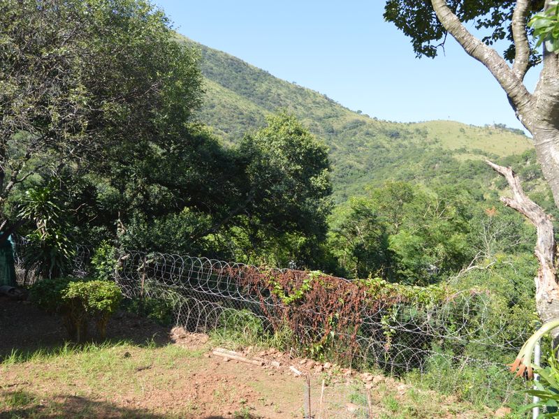 Private Mountain View - Photo 4