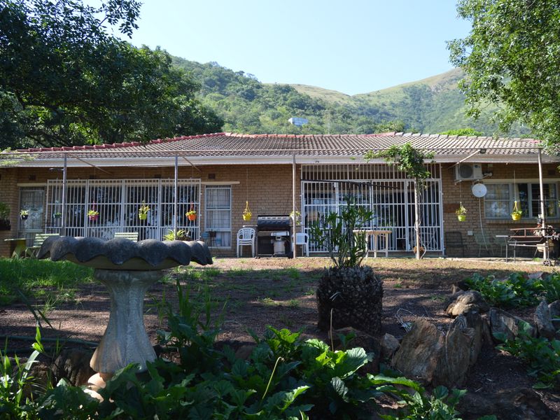 Private Mountain View - Photo 1
