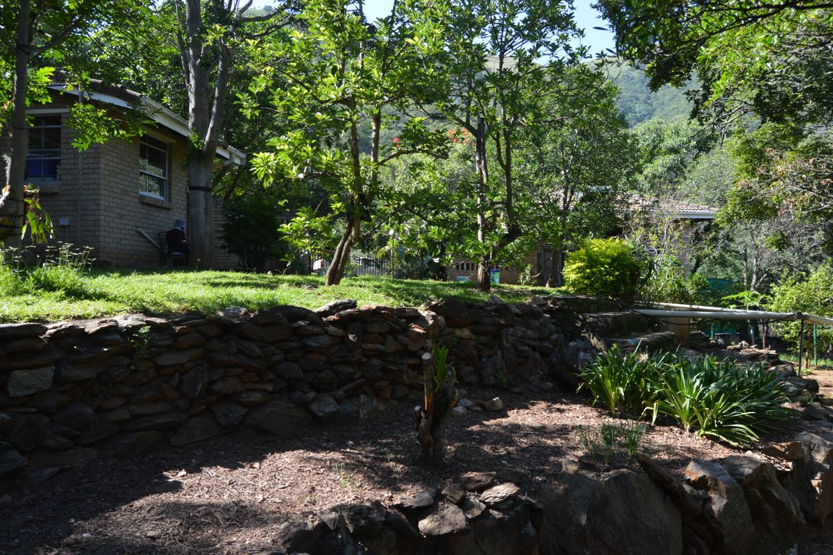 Private Mountain View - Photo 3