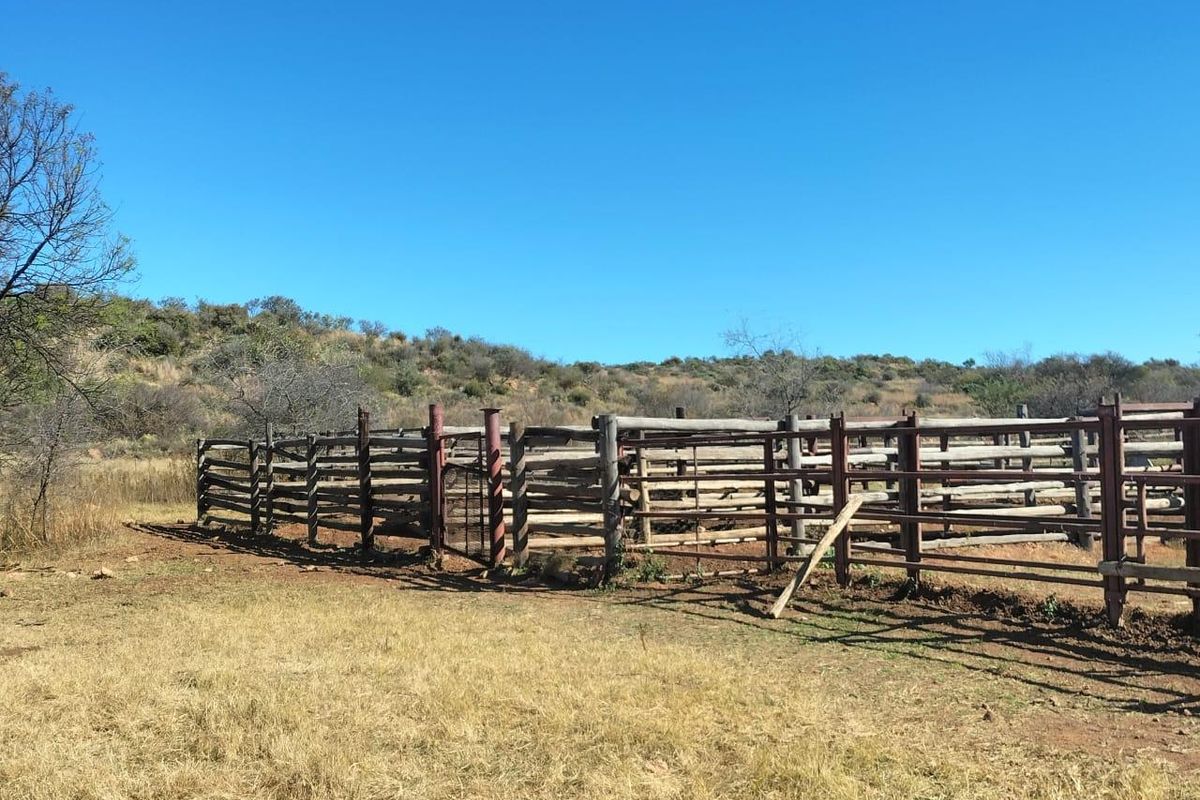 A functional livestock kraal constructed with timber rails and steel posts, situated in an open farm landscape.