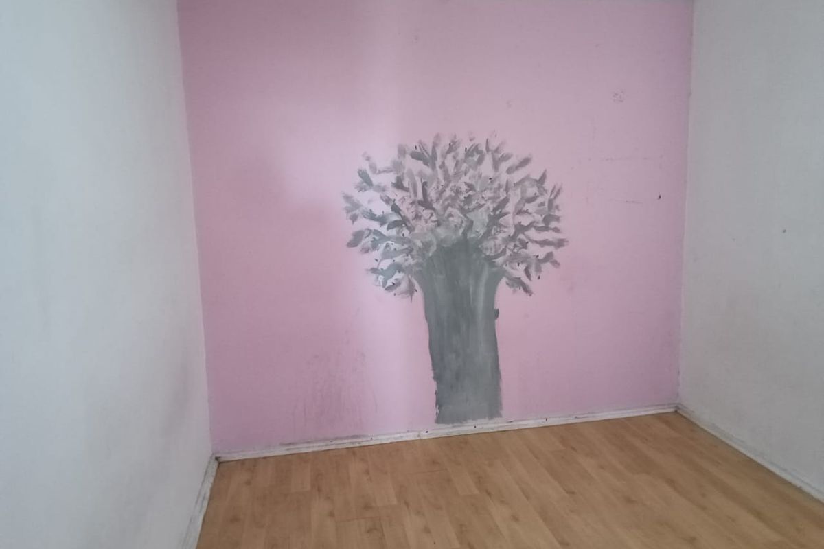 An empty bedroom featuring laminate flooring and a pink feature wall with a painted mural, requiring cosmetic updates to refresh the space.