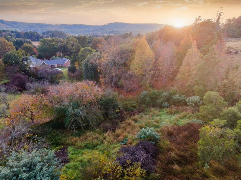 Exclusive Package Deal - Annandale Country Estate - Photo 8