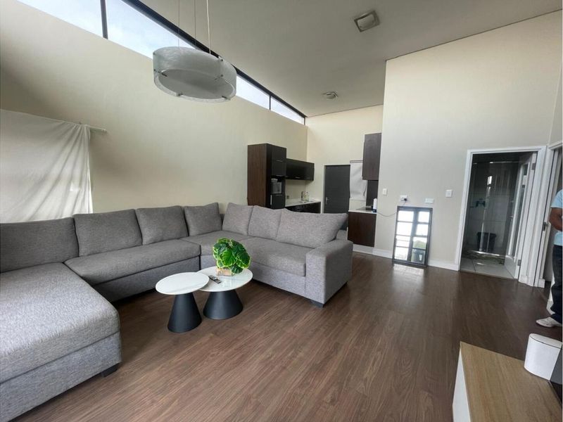 Modern Executive Sophistication in Sandton most vibrant sought after security estate - Photo 2