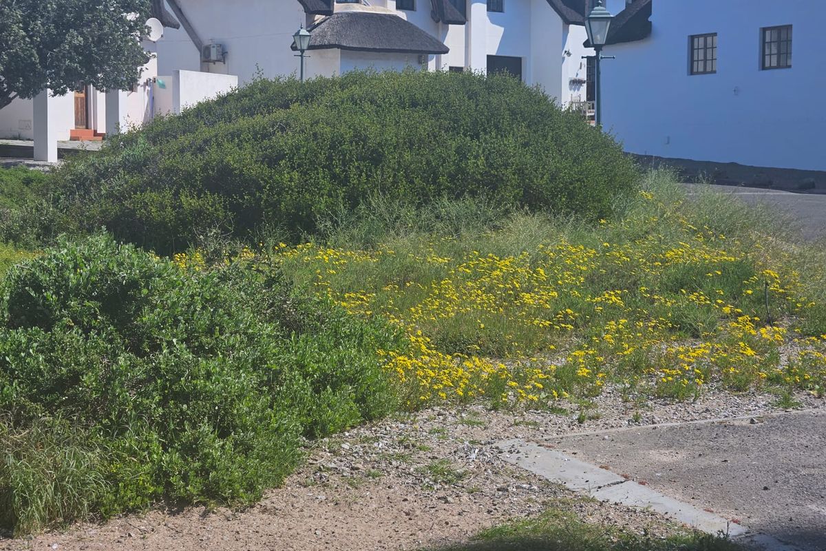 Located in Shelley Point – The Jewel of the West Coast! - Photo 3