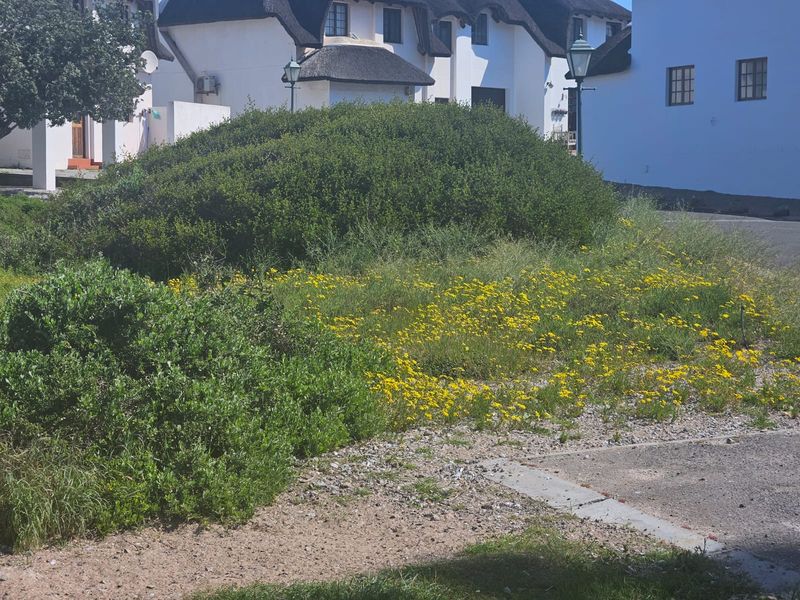 Located in Shelley Point – The Jewel of the West Coast! - Photo 3