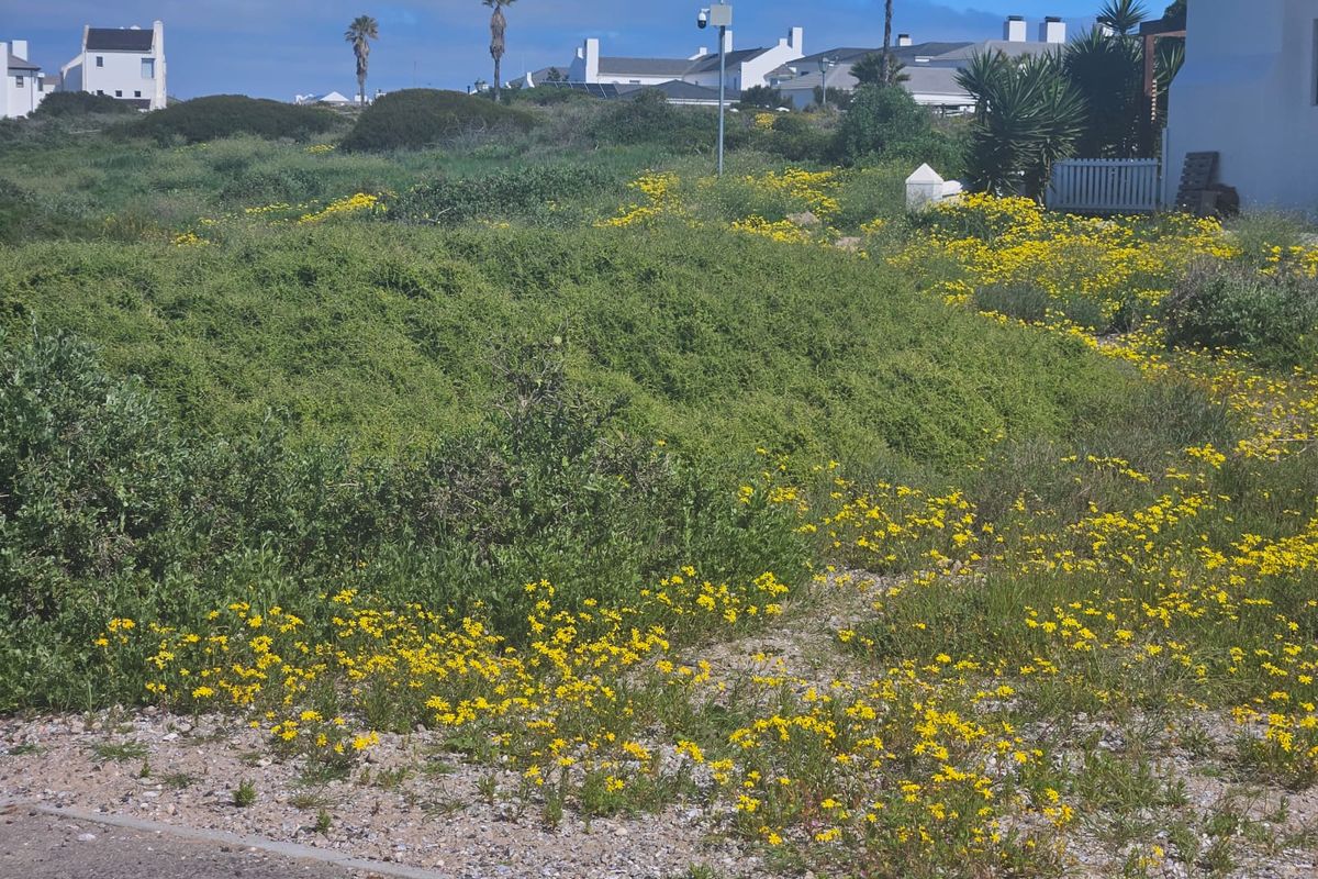 Located in Shelley Point – The Jewel of the West Coast! - Photo 4