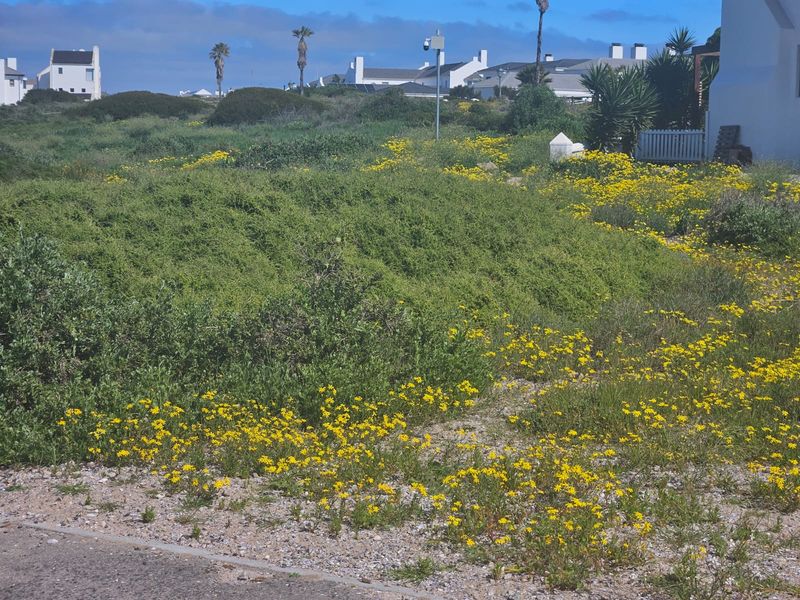 Located in Shelley Point – The Jewel of the West Coast! - Photo 4