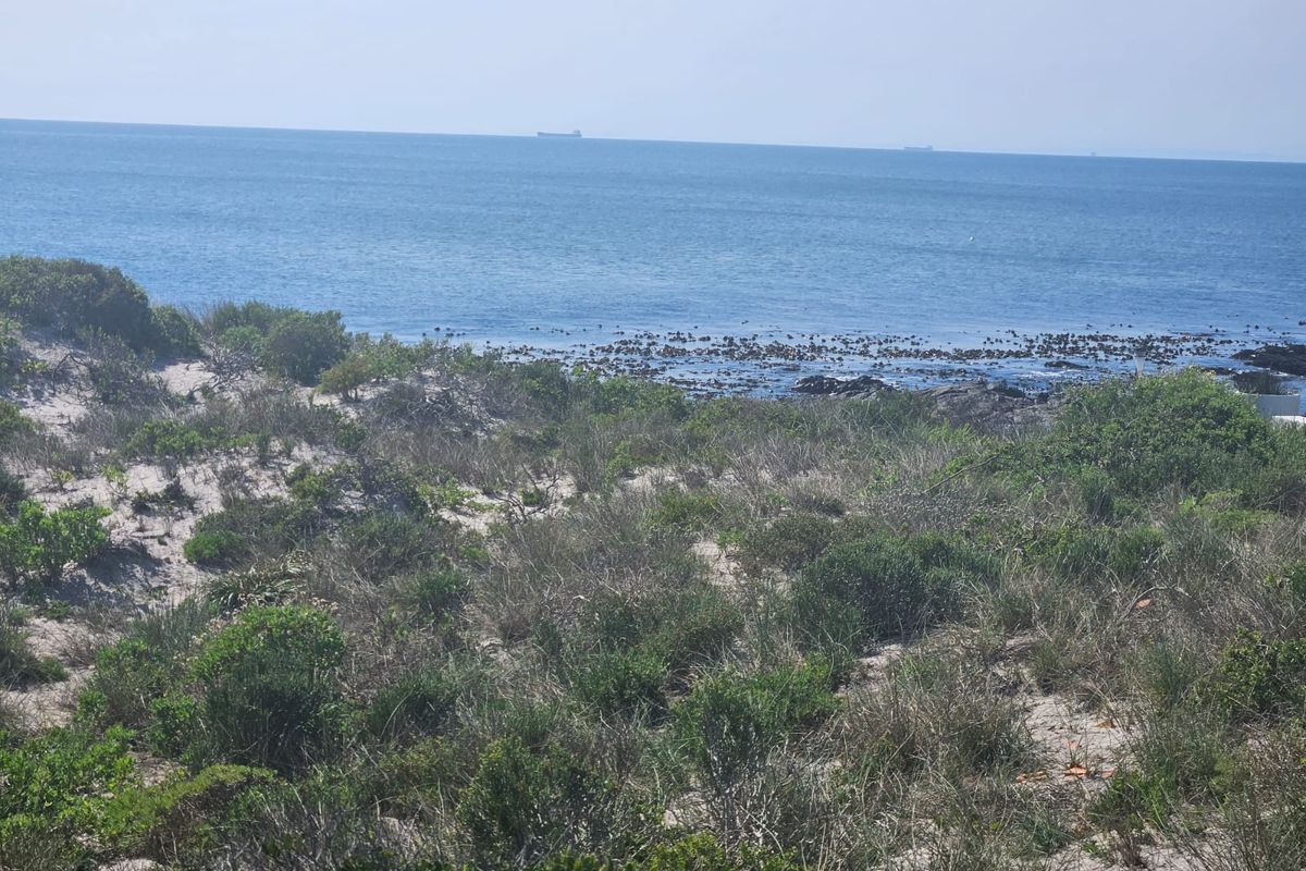 A Rare Gem in Shelley Point! - Photo 5