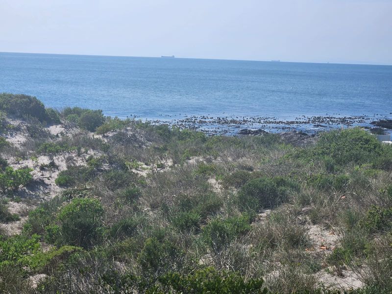 A Rare Gem in Shelley Point! - Photo 5