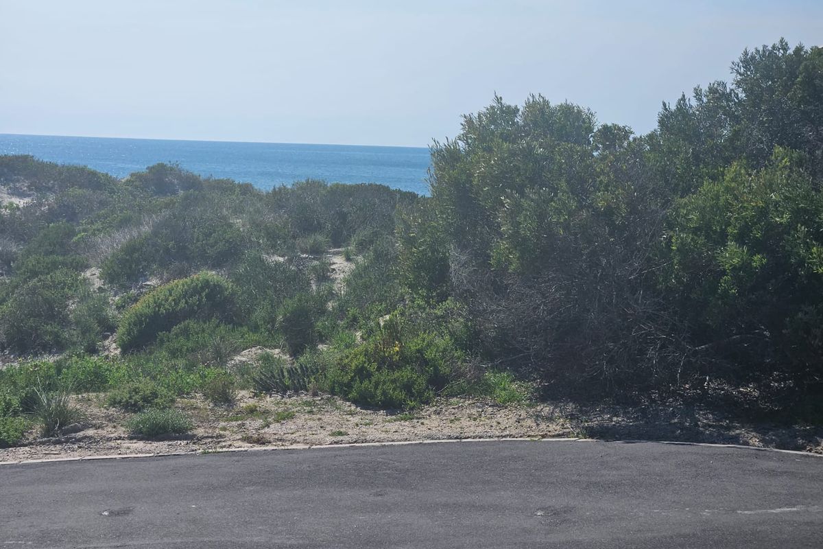 A Rare Gem in Shelley Point! - Photo 4