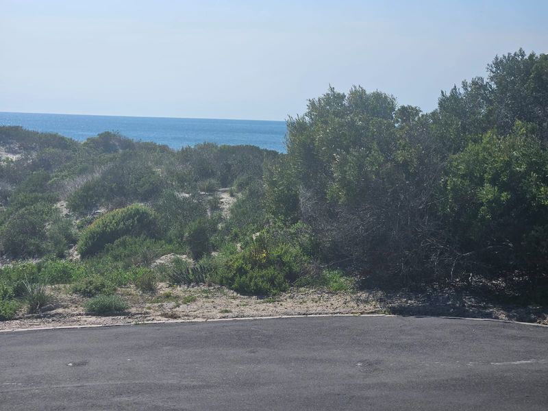 A Rare Gem in Shelley Point! - Photo 4