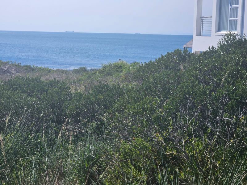 A Rare Gem in Shelley Point! - Photo 7