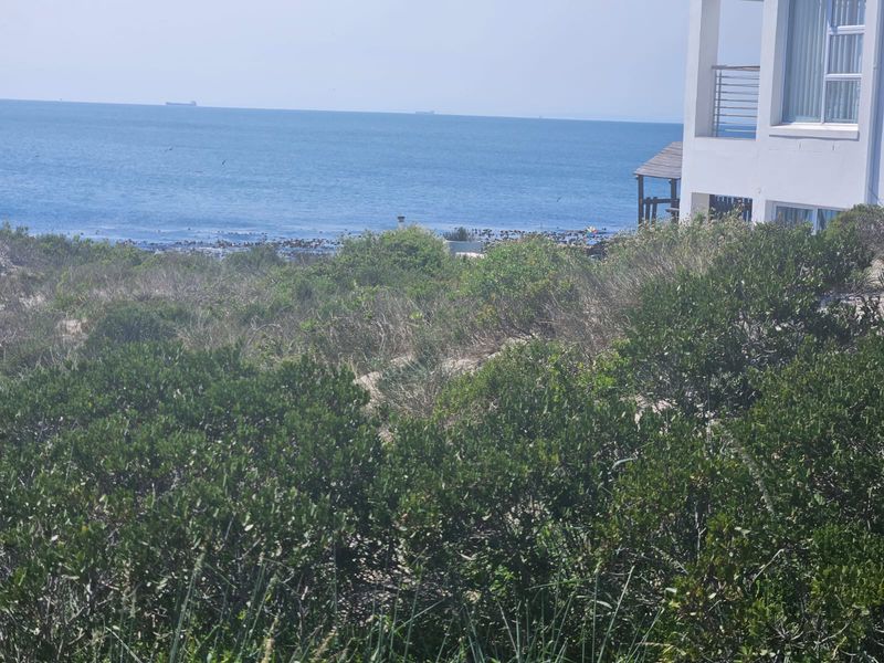 A Rare Gem in Shelley Point! - Photo 6