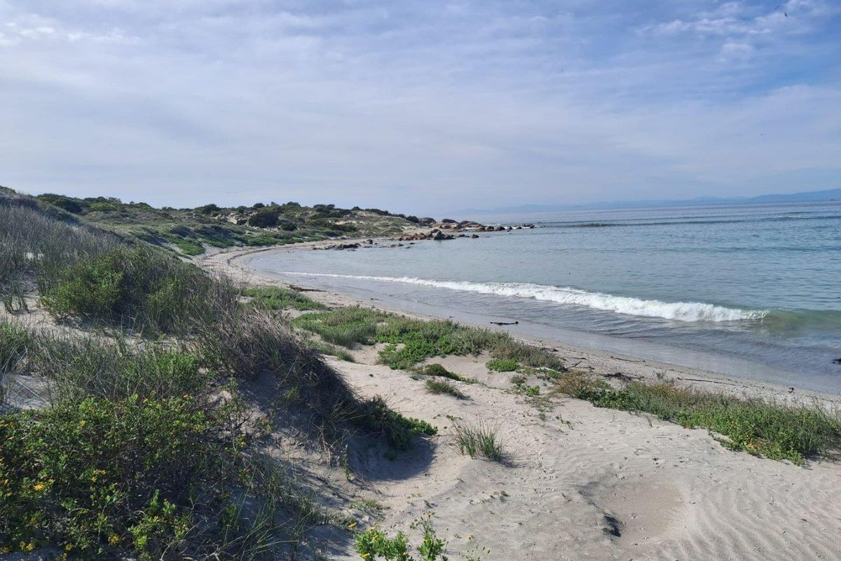 A Rare Gem in Shelley Point! - Photo 2