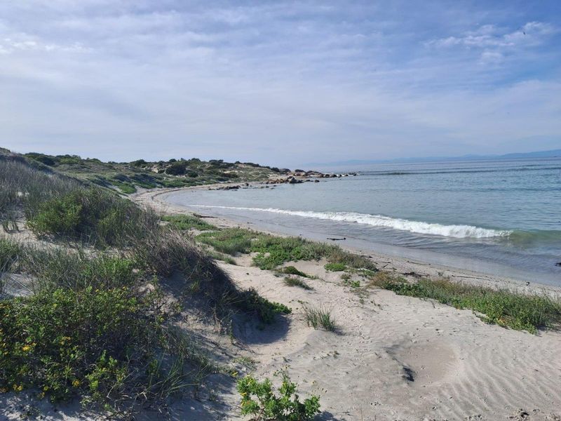 A Rare Gem in Shelley Point! - Photo 2