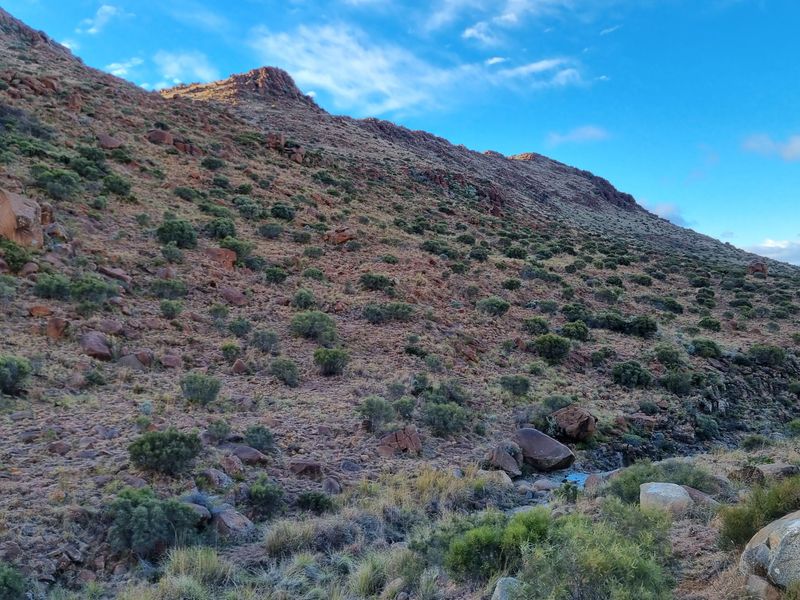 A scenic view of the rugged, rocky hillside landscape characteristic of the farm property.