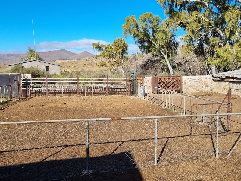 Outdoor livestock enclosure featuring metal fencing, wire mesh, and stone walling, set against a rural landscape with mountain views.