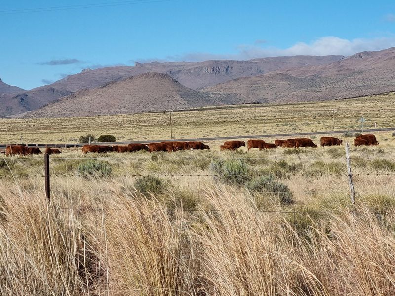 Expansive rural landscape view featuring open grazing land, wire fencing, and distant mountain ranges under a clear blue sky.