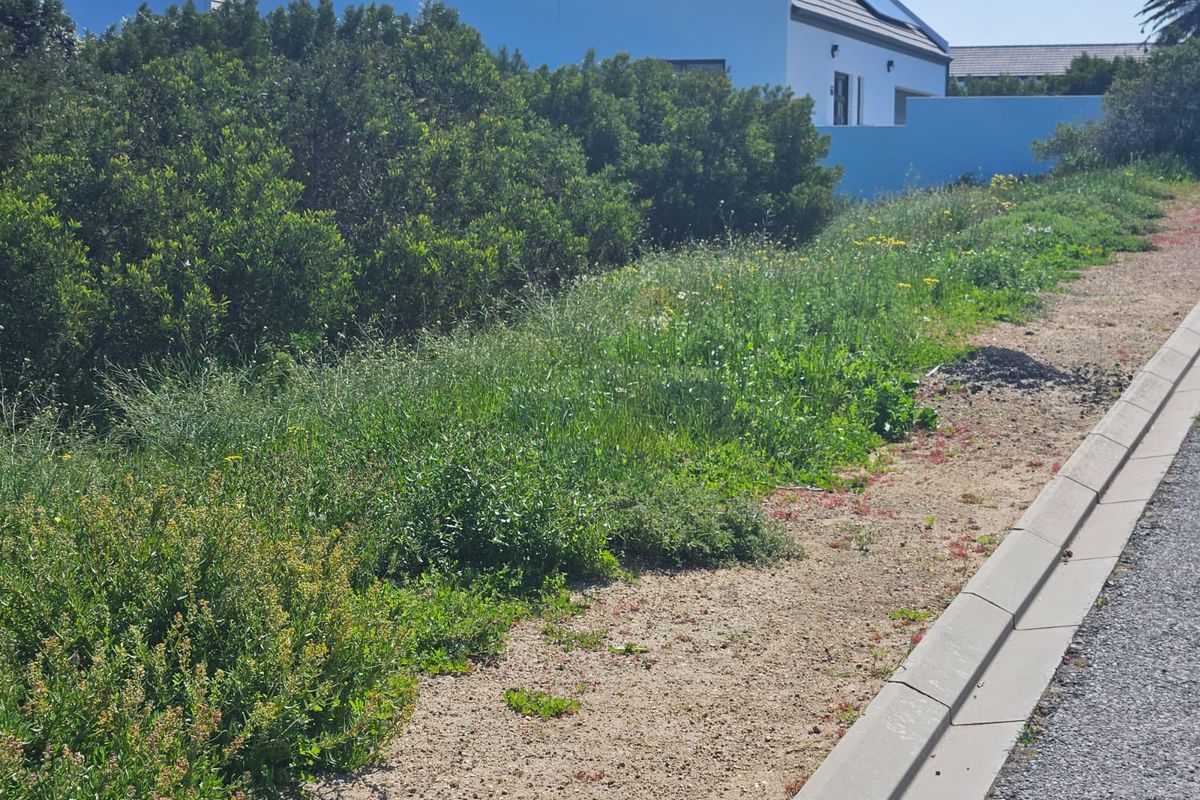 Stand Available in Shelley – Rare Opportunity! - Photo 4