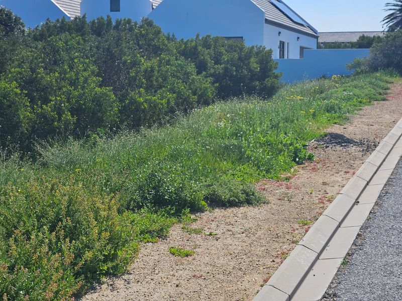 Stand Available in Shelley – Rare Opportunity! - Photo 4