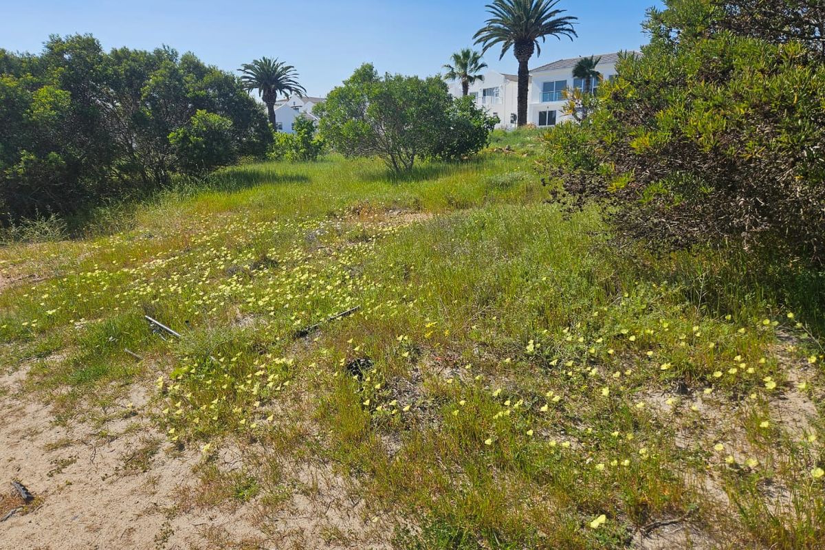 379 Square Stand Available at Shelley Point - Photo 4