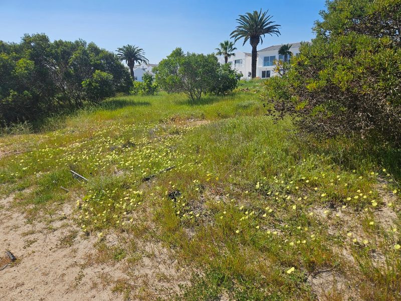 379 Square Stand Available at Shelley Point - Photo 4