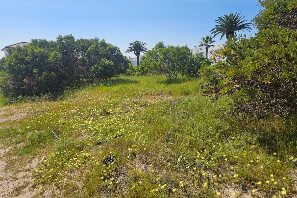 379 Square Stand Available at Shelley Point - Photo 5