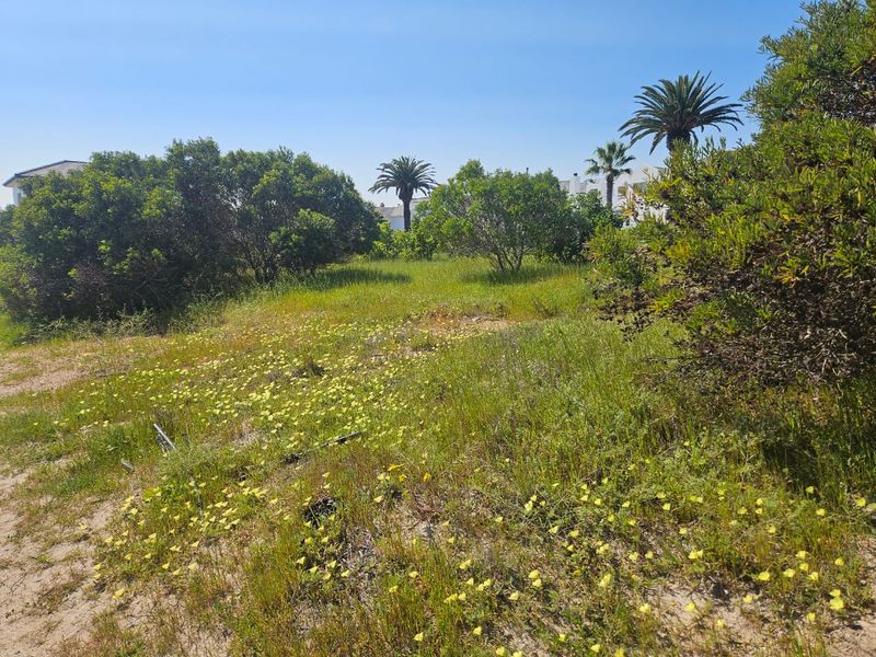 379 Square Stand Available at Shelley Point - Photo 5