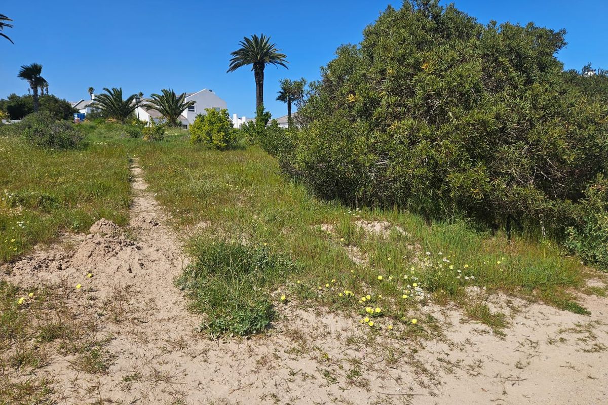 379 Square Stand Available at Shelley Point - Photo 2