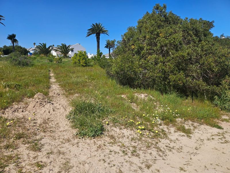 379 Square Stand Available at Shelley Point - Photo 2