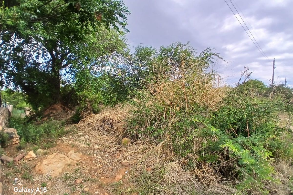 805m2 Vacant Land for Sale – A Stone’s Throw from the Vaal River - Photo 4