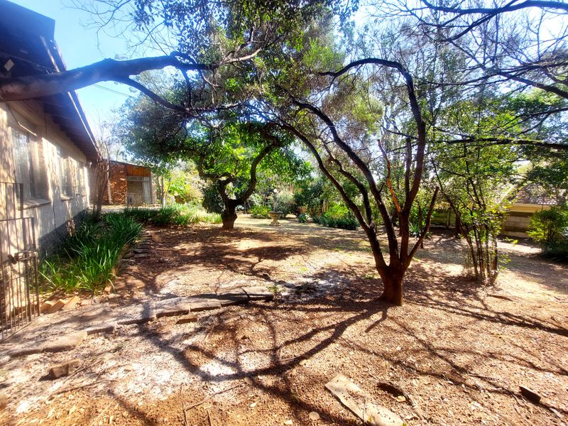 Lets build in Ashlea Gardens - Photo 2