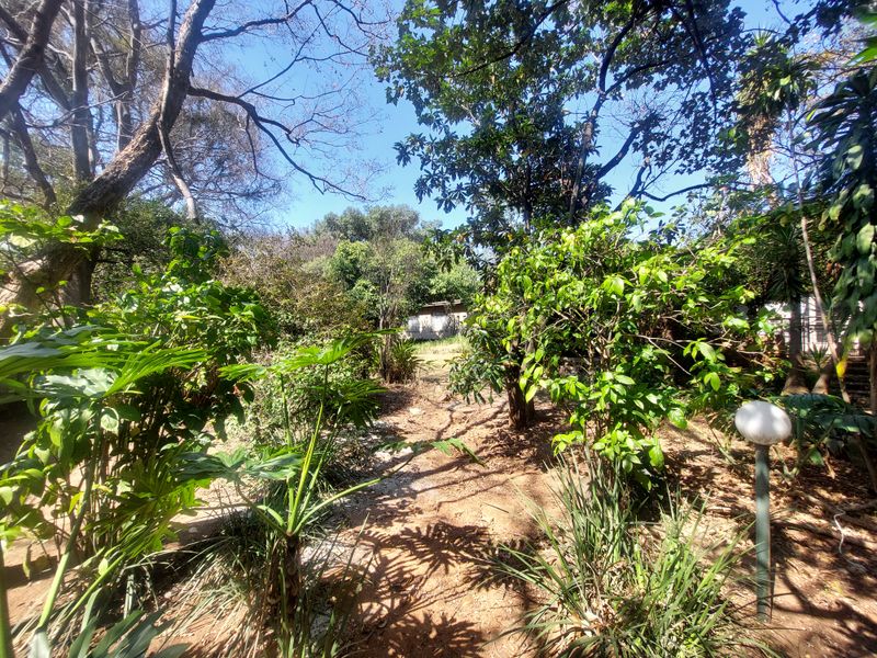 Lets build in Ashlea Gardens - Photo 5