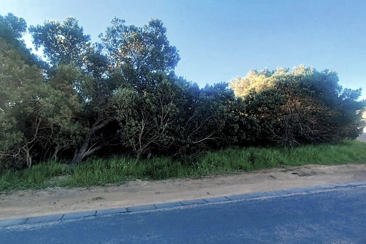 Vacant land for Sale - Shelley Point Eestate - Photo 2