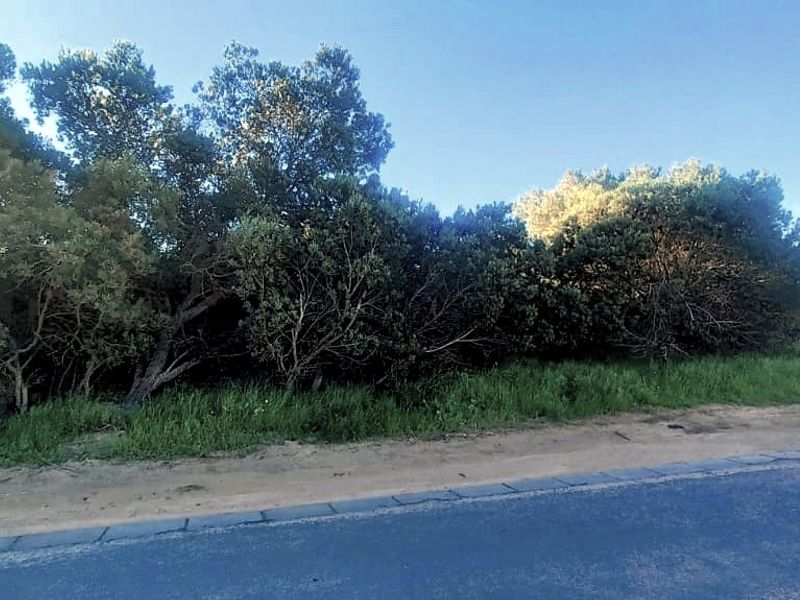 Vacant land for Sale - Shelley Point Eestate - Photo 2