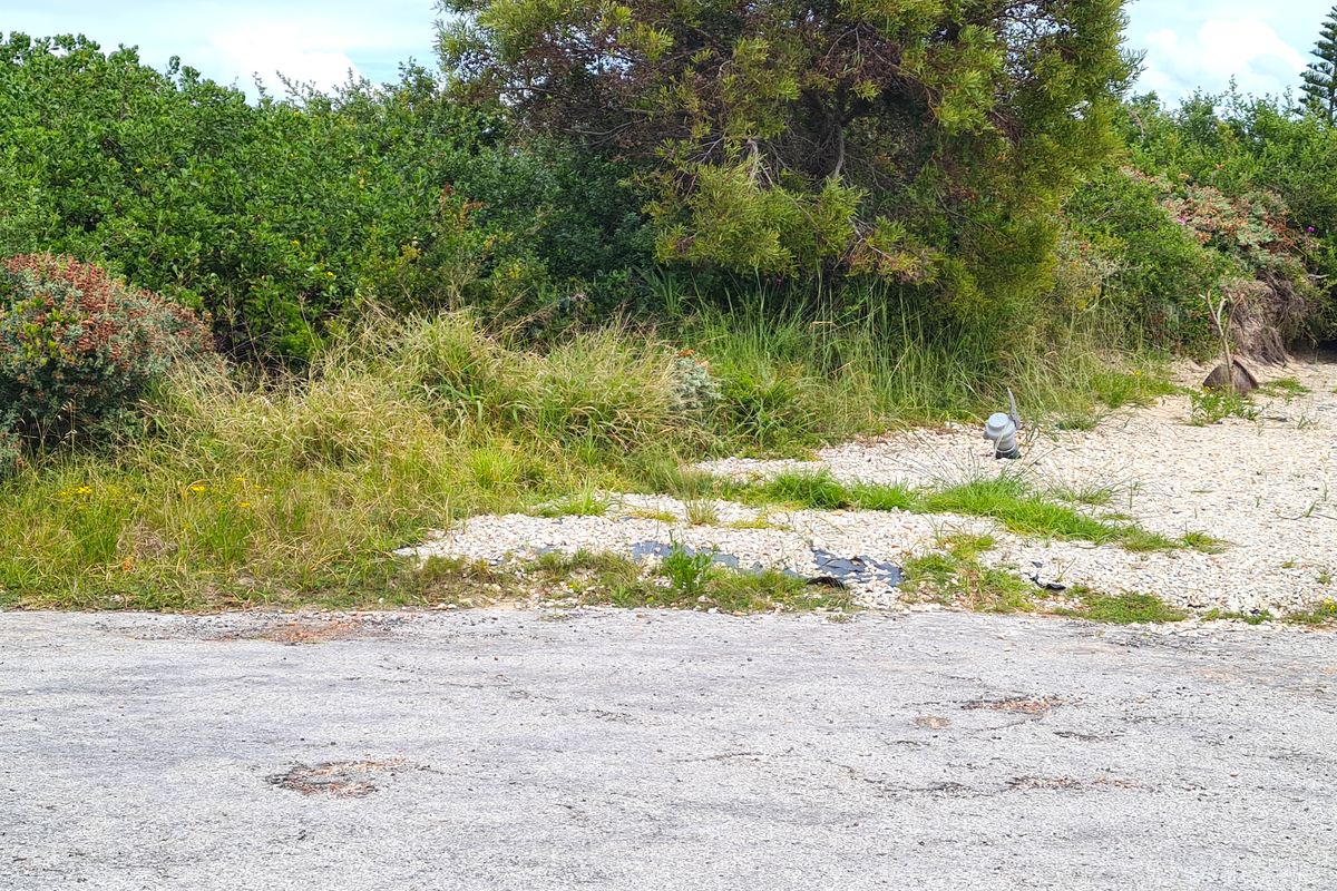 Vacant Level Stand for your New Home in Paradise Beach, Jeffreys Bay - Photo 5