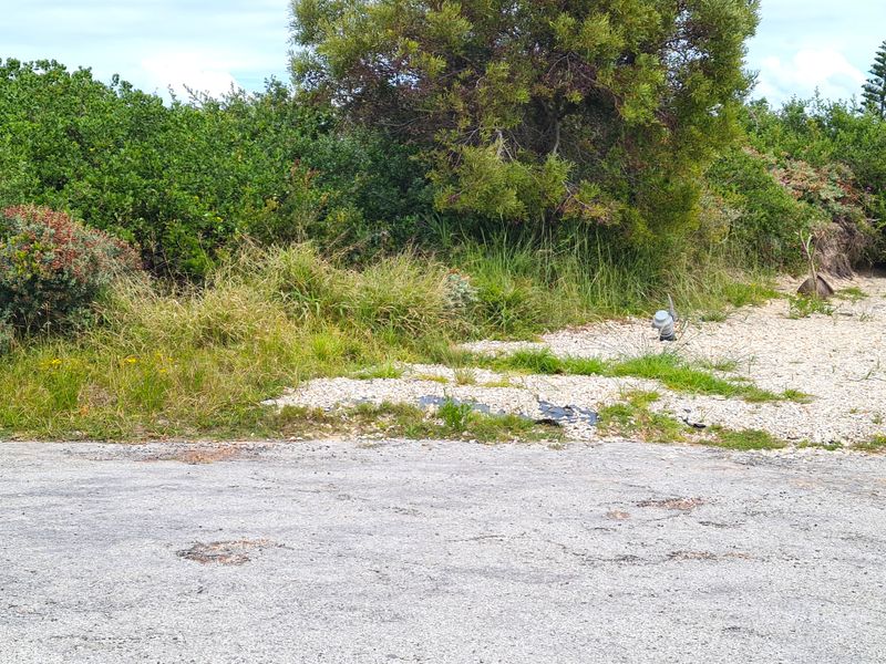 Vacant Level Stand for your New Home in Paradise Beach, Jeffreys Bay - Photo 5
