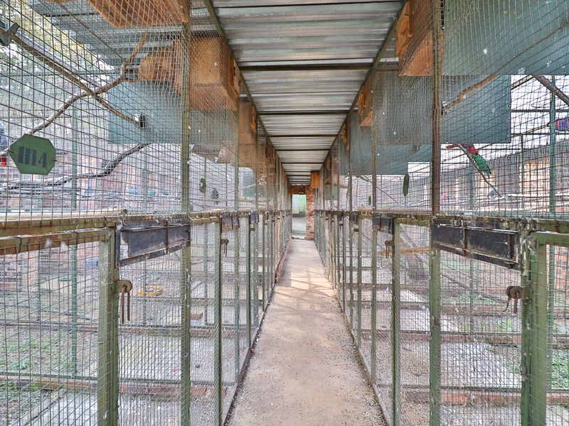 🌾 Invest on the R82 – Stunning Views, Tranquil Setting, Limitless Potential Property Highlights - Photo 10