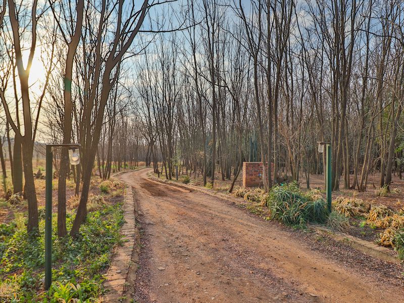 A scenic dirt driveway leading through a wooded area on the small holding, featuring stone edging and established garden lighting.