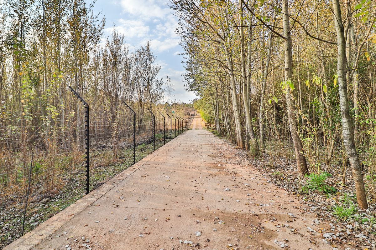 Three Tenanted Cottages + Room for More Income - Photo 2