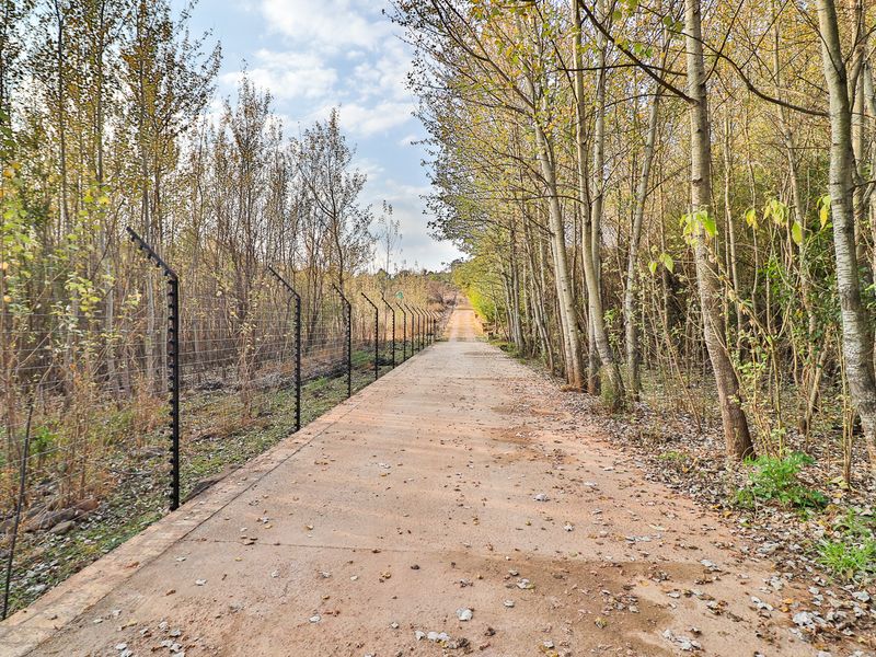 Three Tenanted Cottages + Room for More Income - Photo 2