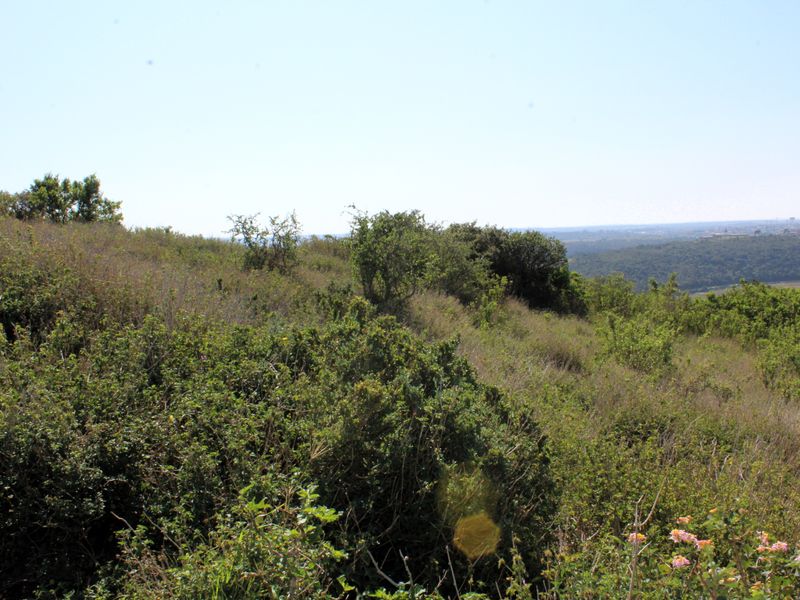 Vacant Land for Sale in Riverview Waterfront Estate, Port Alfred, Eastern Cape - Photo 6