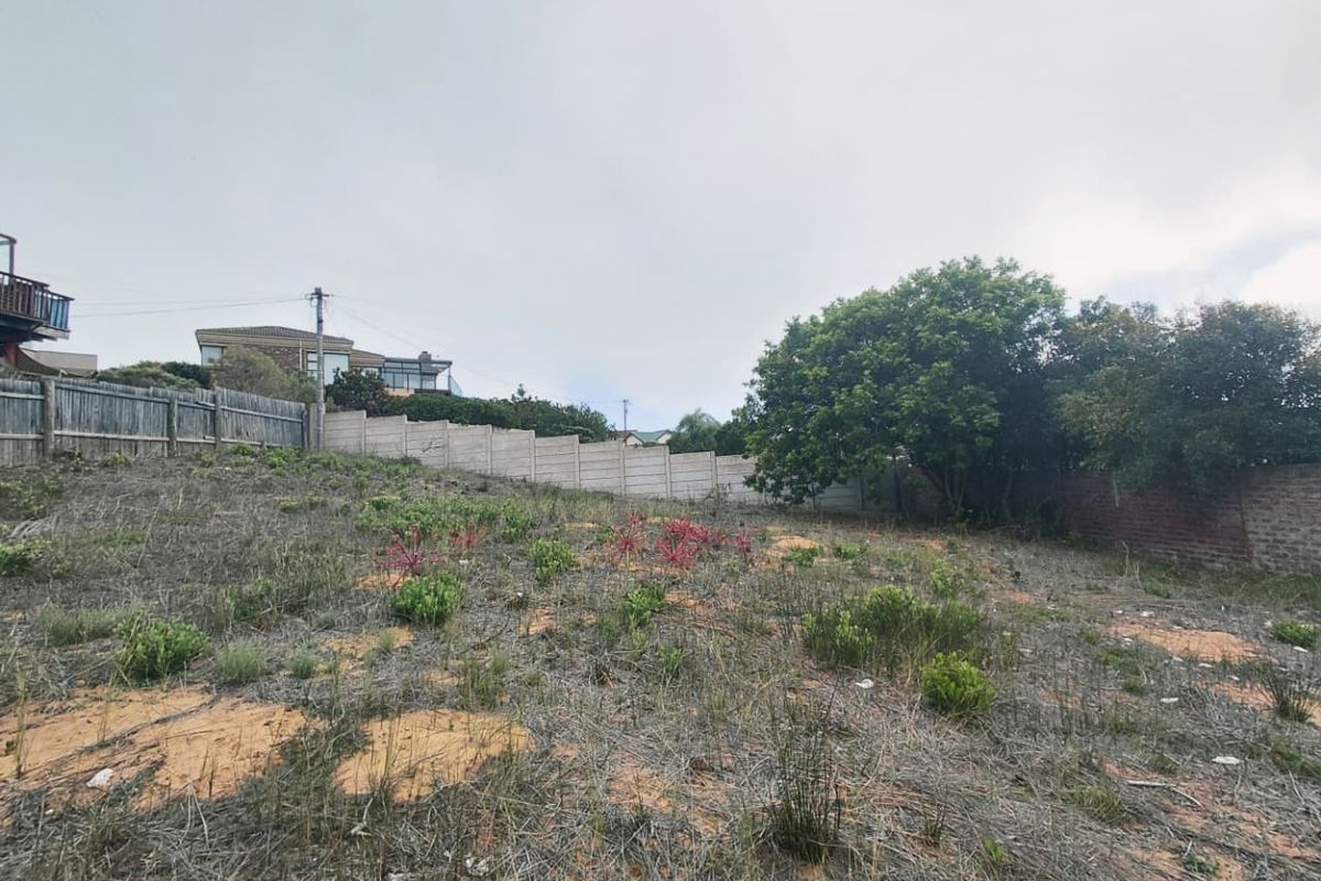 Prime Vacant Stand Available in Popular Stilbaai Heights - Photo 5