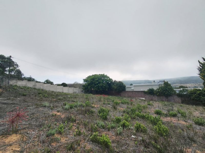 Prime Vacant Stand Available in Popular Stilbaai Heights - Photo 6