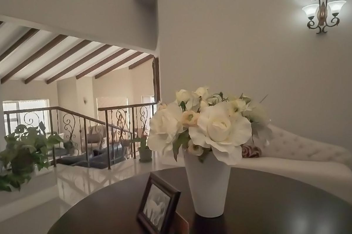 Luxury Multi-Apartment Home with Exceptional Holiday Rental Potential - Photo 5