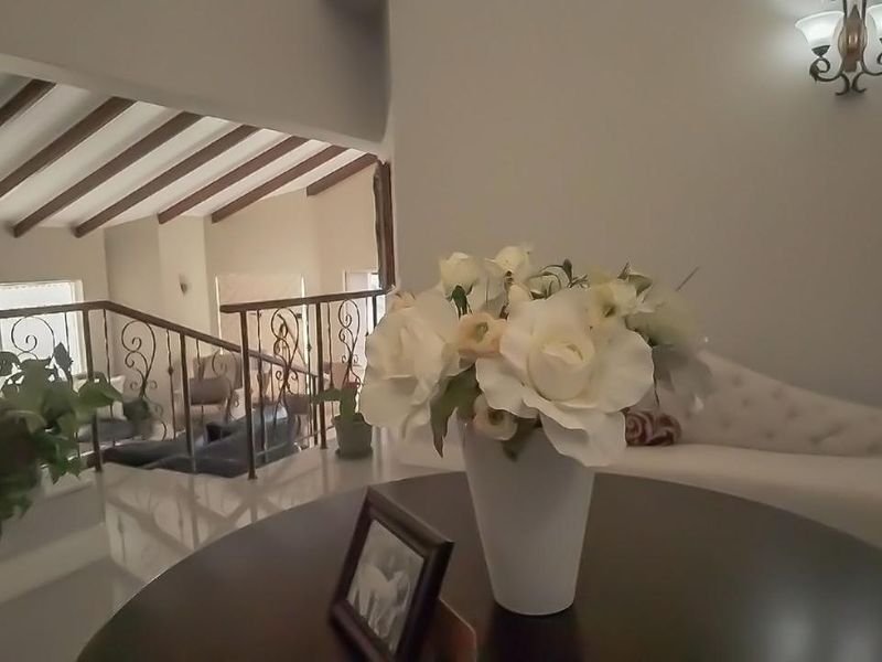 Luxury Multi-Apartment Home with Exceptional Holiday Rental Potential - Photo 5