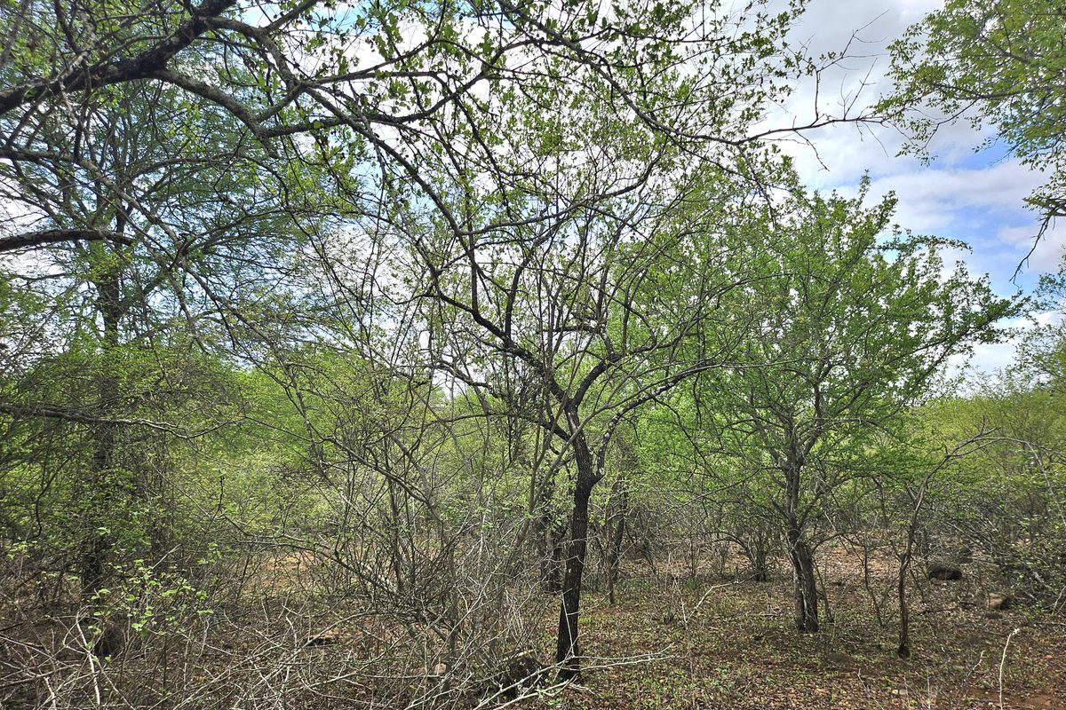 Corner Stand a real treat! - Photo 4