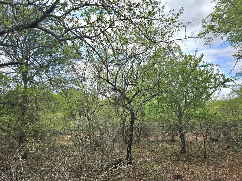 Corner Stand a real treat! - Photo 4